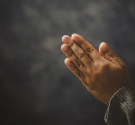 Praying Hands